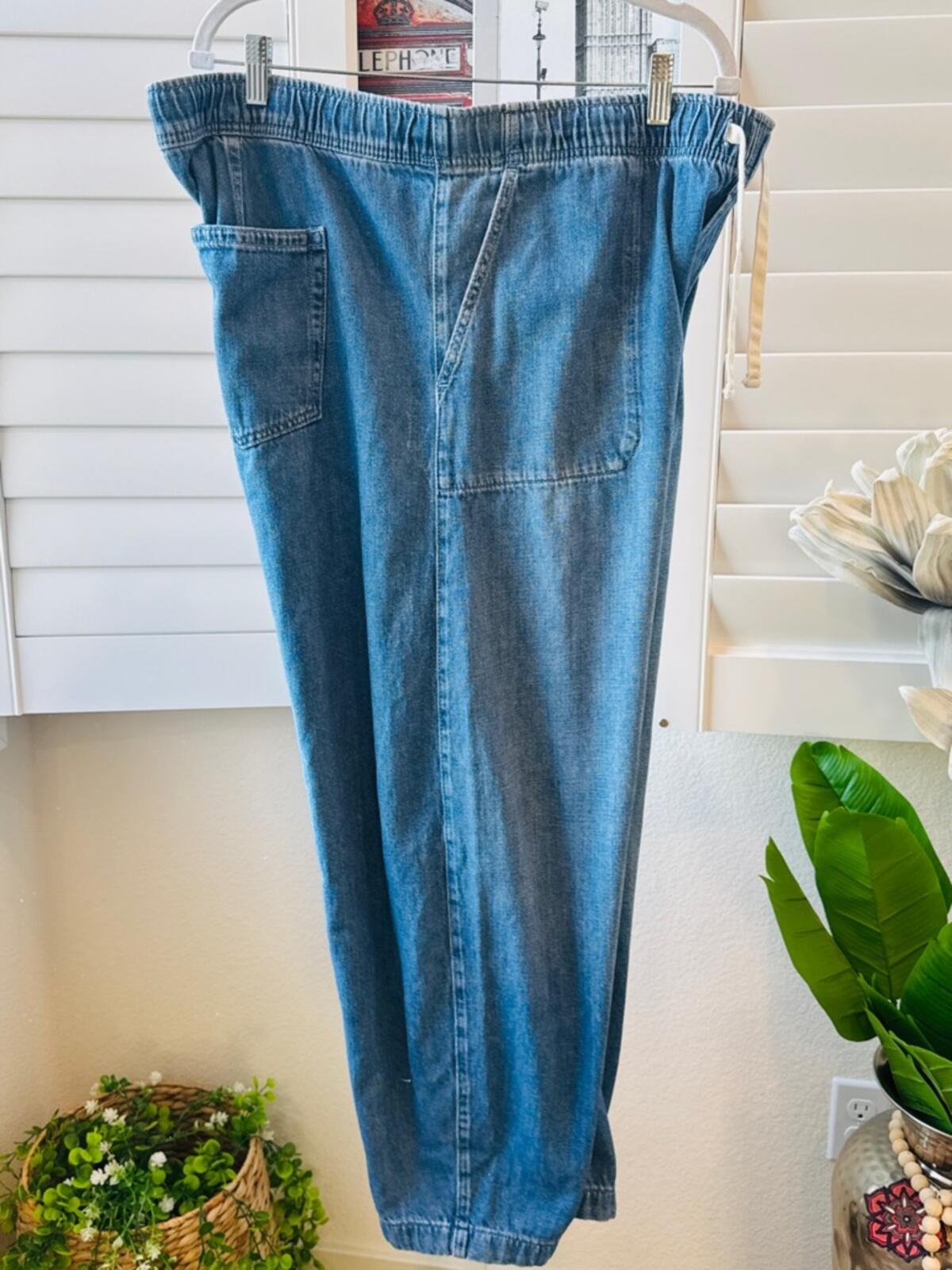 GAP Women’s Light Blue Relaxed Drawstring Jeans. Size XL