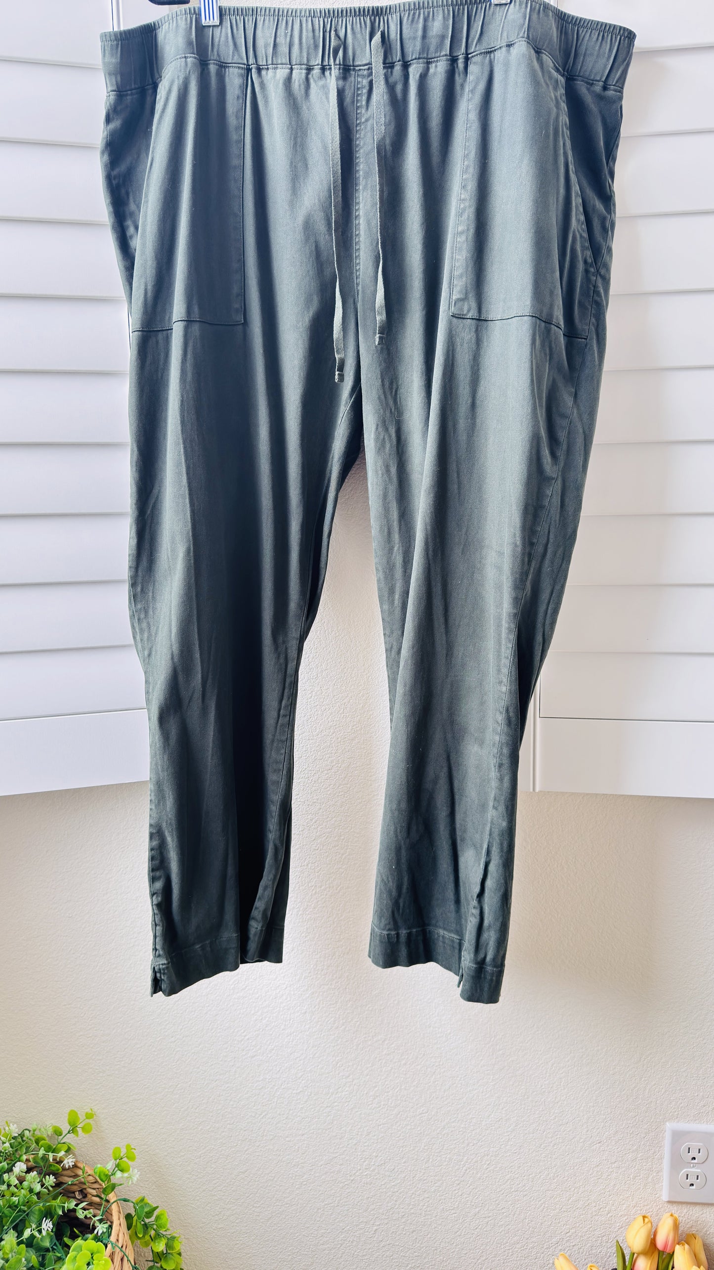 Buffalo David Bitton Olive Green Pull-On Drawstring Pants Size XXL