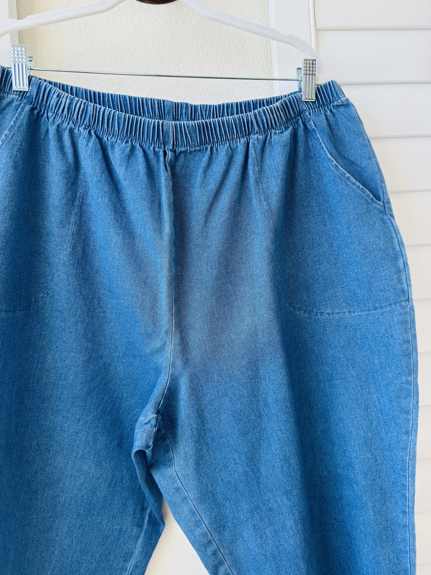 Denim & Co. Elastic Waist Stretch Denim Pants Size 2XP