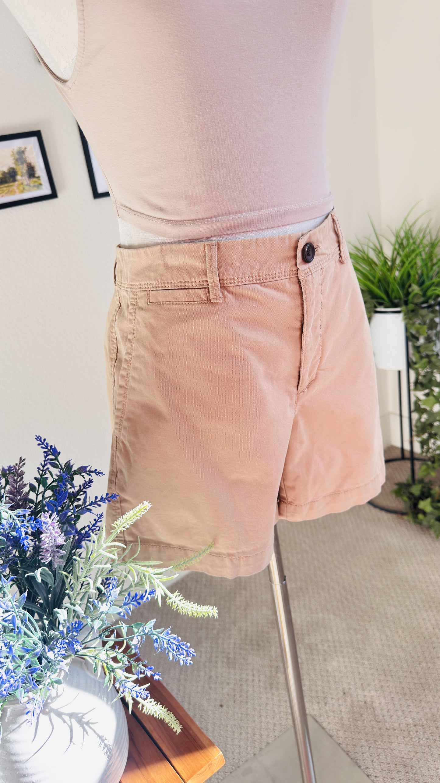 Banana Republic Stretch Cotton Chino Shorts Size 6