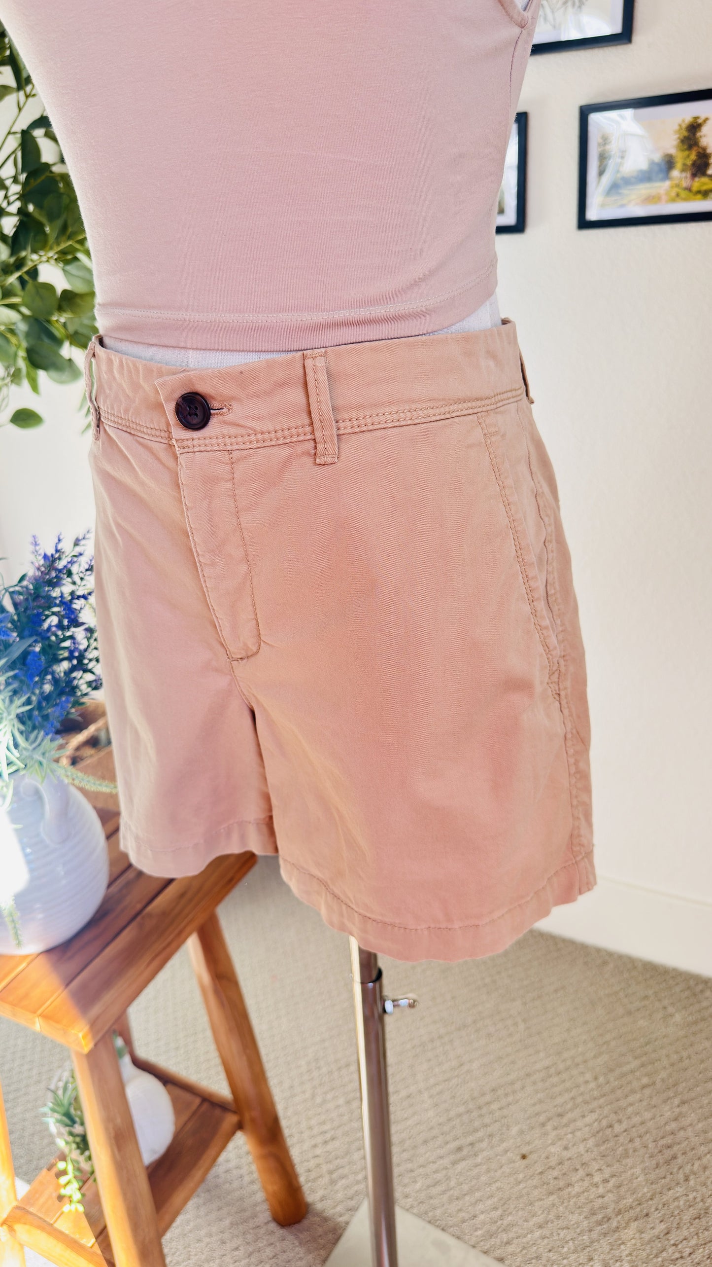 Banana Republic Stretch Cotton Chino Shorts Size 6