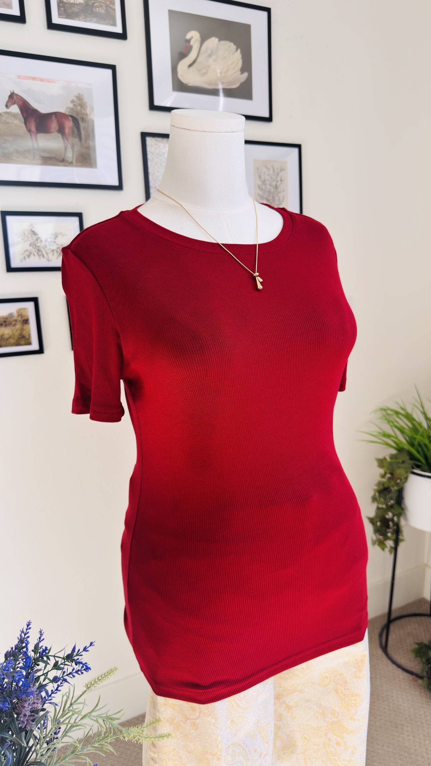 PrettyGarden Red Ribbed Short Sleeve Top - Size M