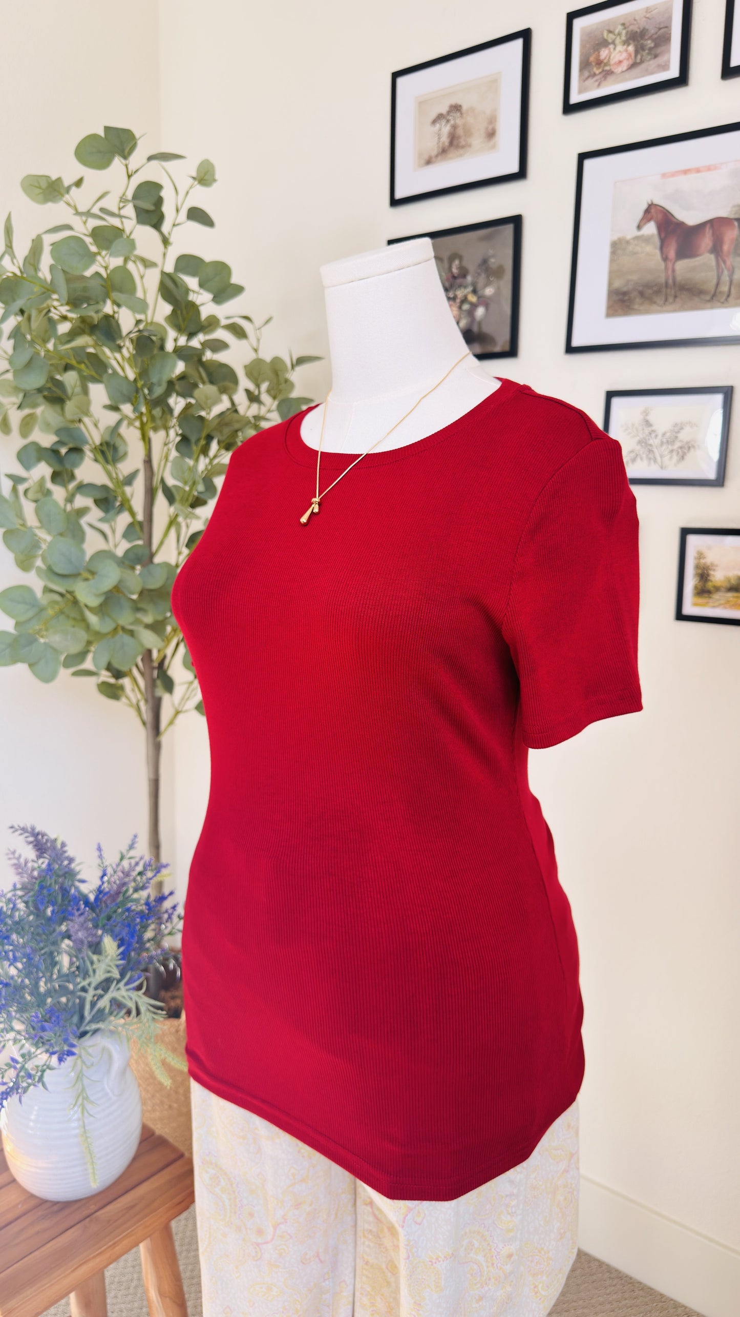 PrettyGarden Red Ribbed Short Sleeve Top - Size M