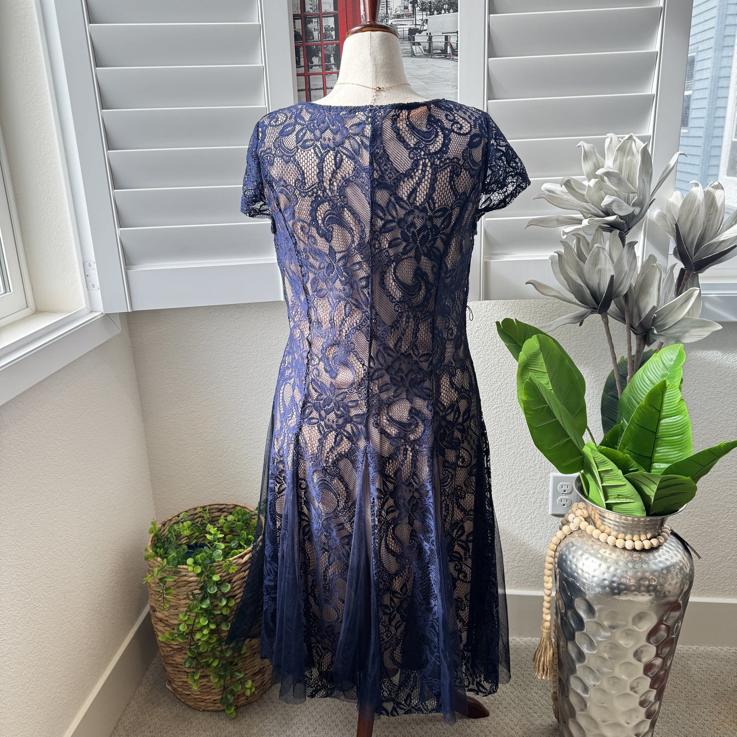 Cardalite Women's Navy Blue Lace V-Neck Cap Sleeve Dress 2X