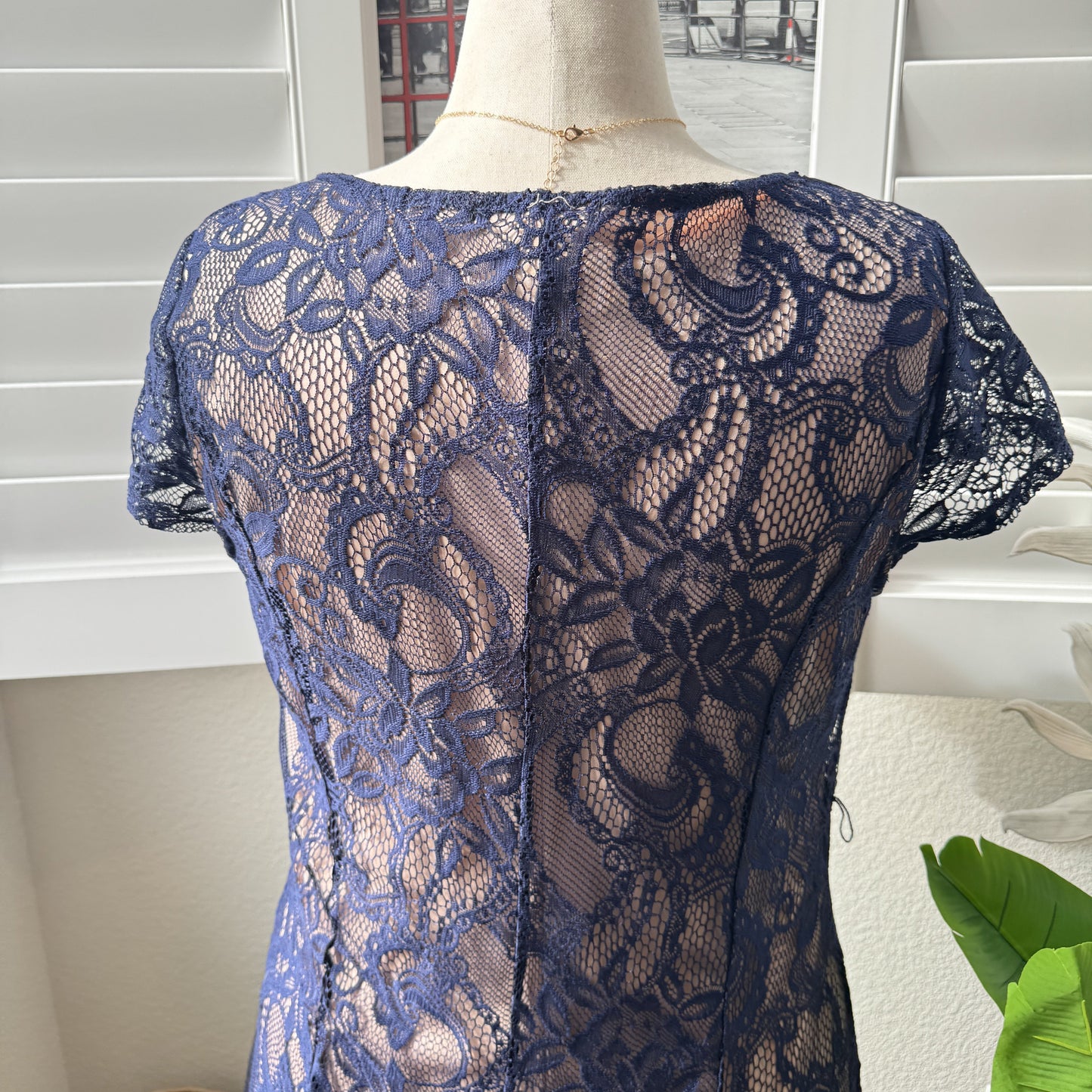 Cardalite Women's Navy Blue Lace V-Neck Cap Sleeve Dress 2X