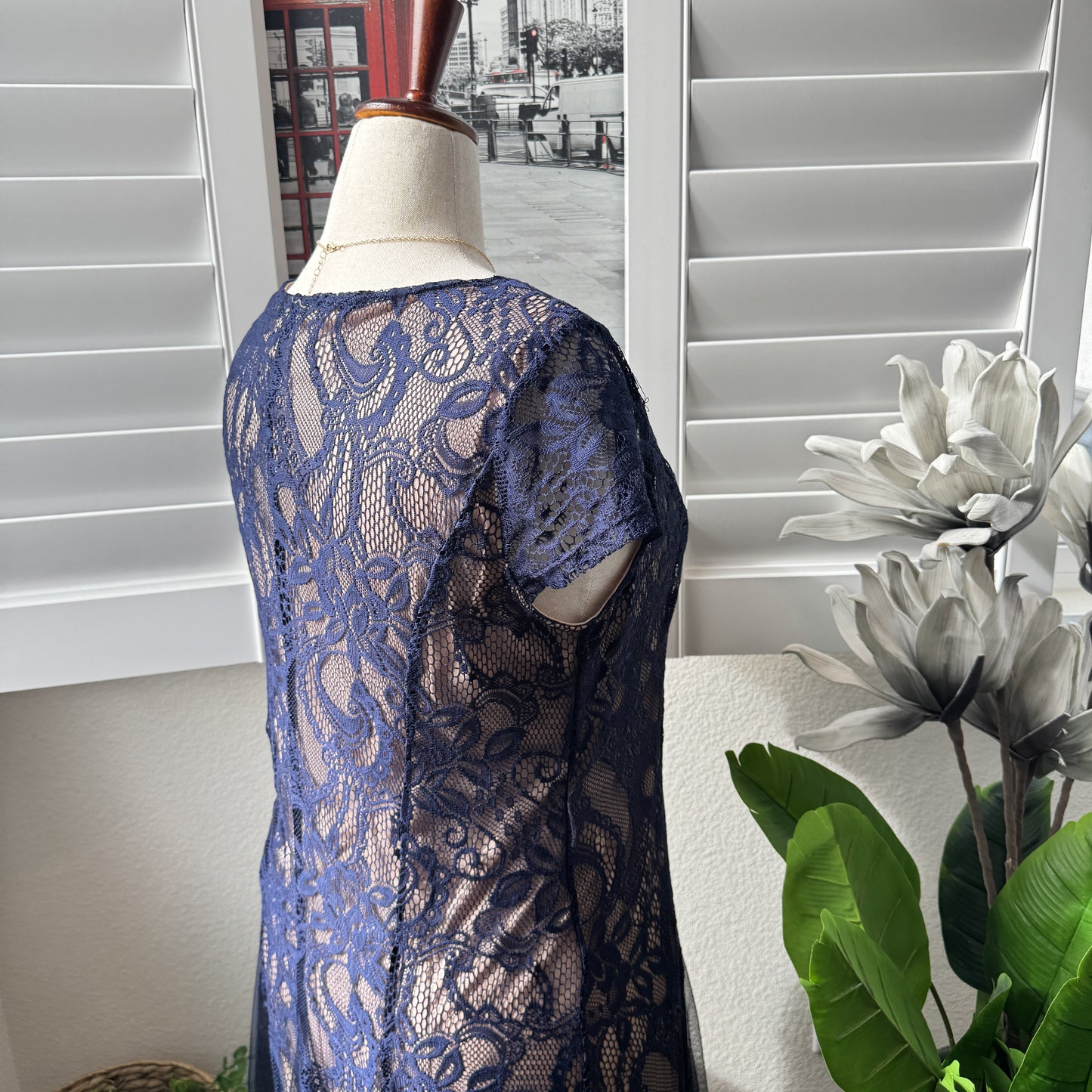 Cardalite Women's Navy Blue Lace V-Neck Cap Sleeve Dress 2X