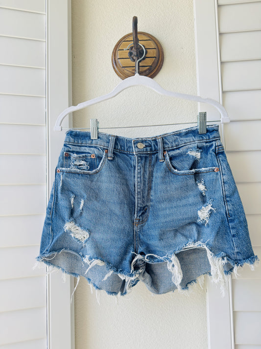 Abercrombie & Fitch Curve Love High Rise Mom Shorts - Size 28