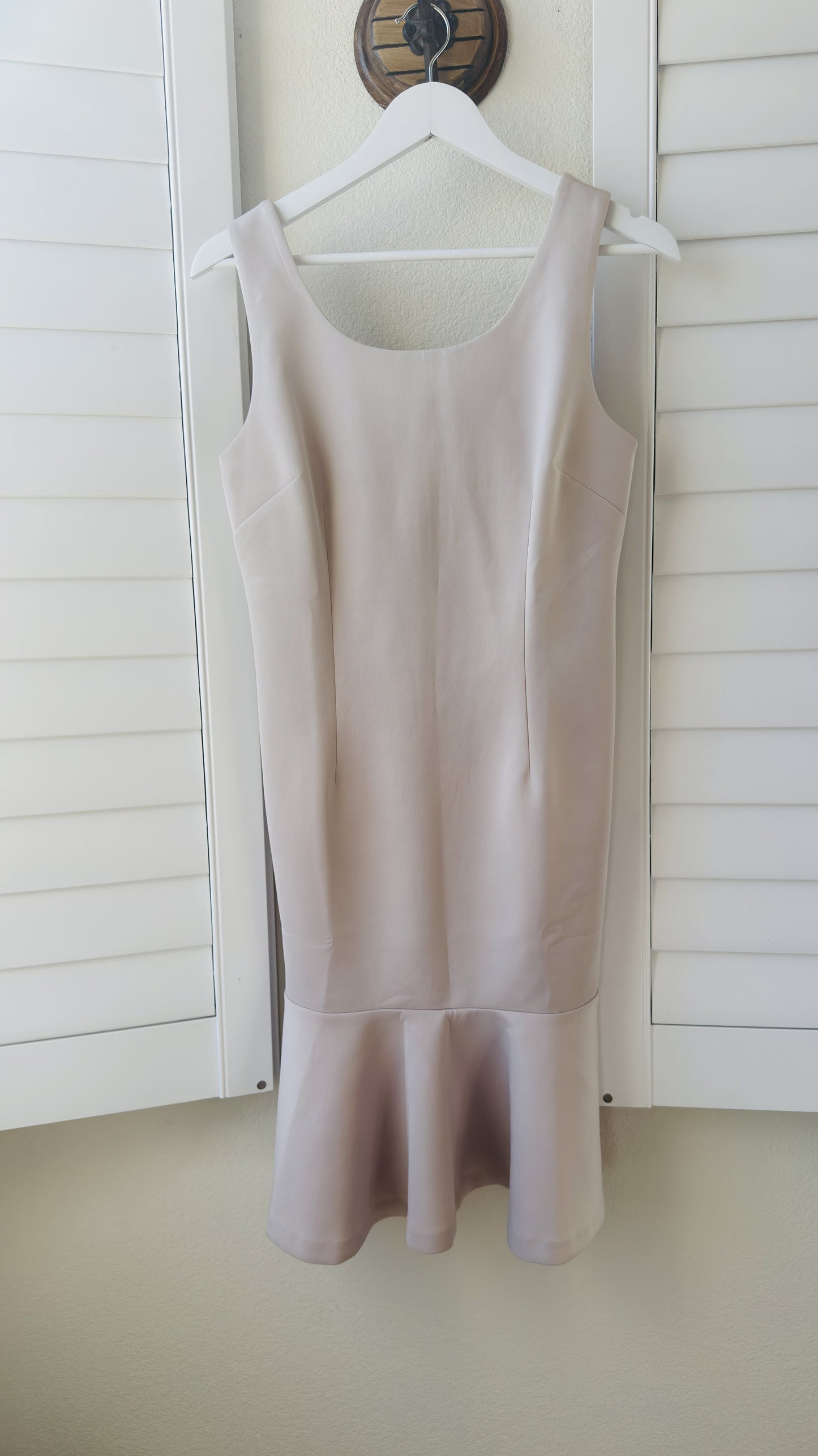 Carmen Marc Valvo Sleeveless Trumpet Hem Dress in Blush Pink - Size 4