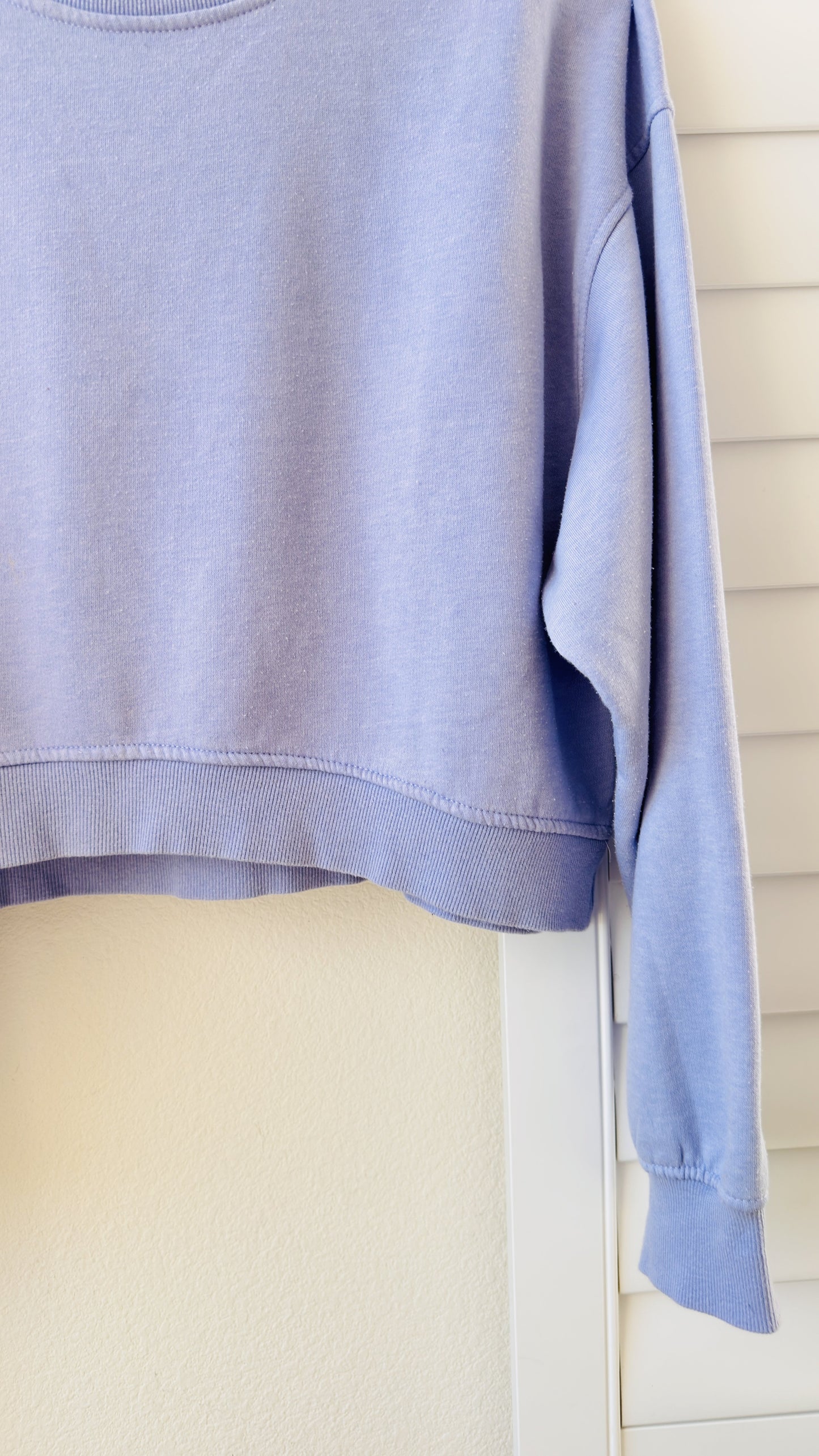 Zara Lavender Cropped Crewneck Sweatshirt - Size L
