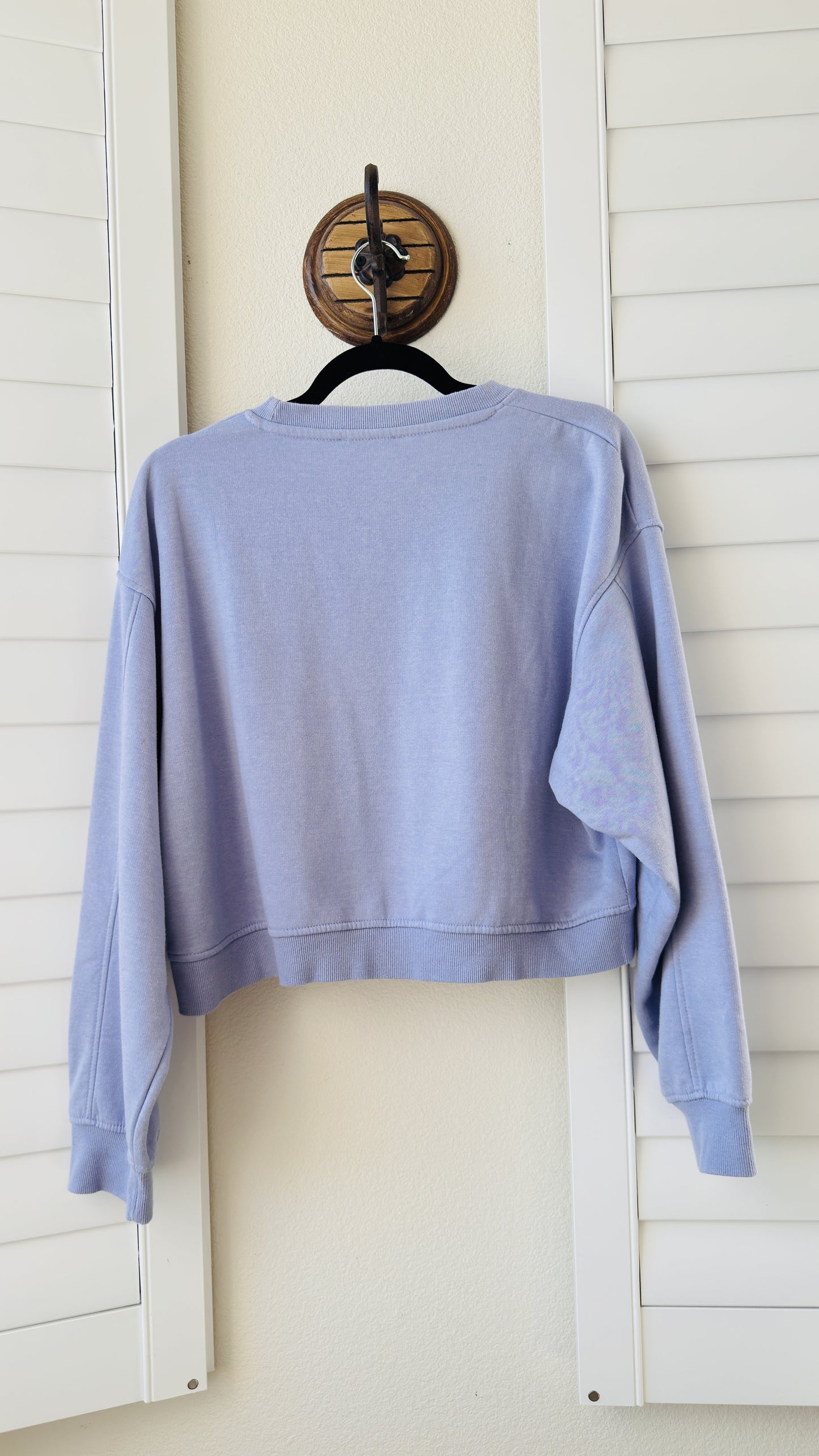 Zara Lavender Cropped Crewneck Sweatshirt - Size L