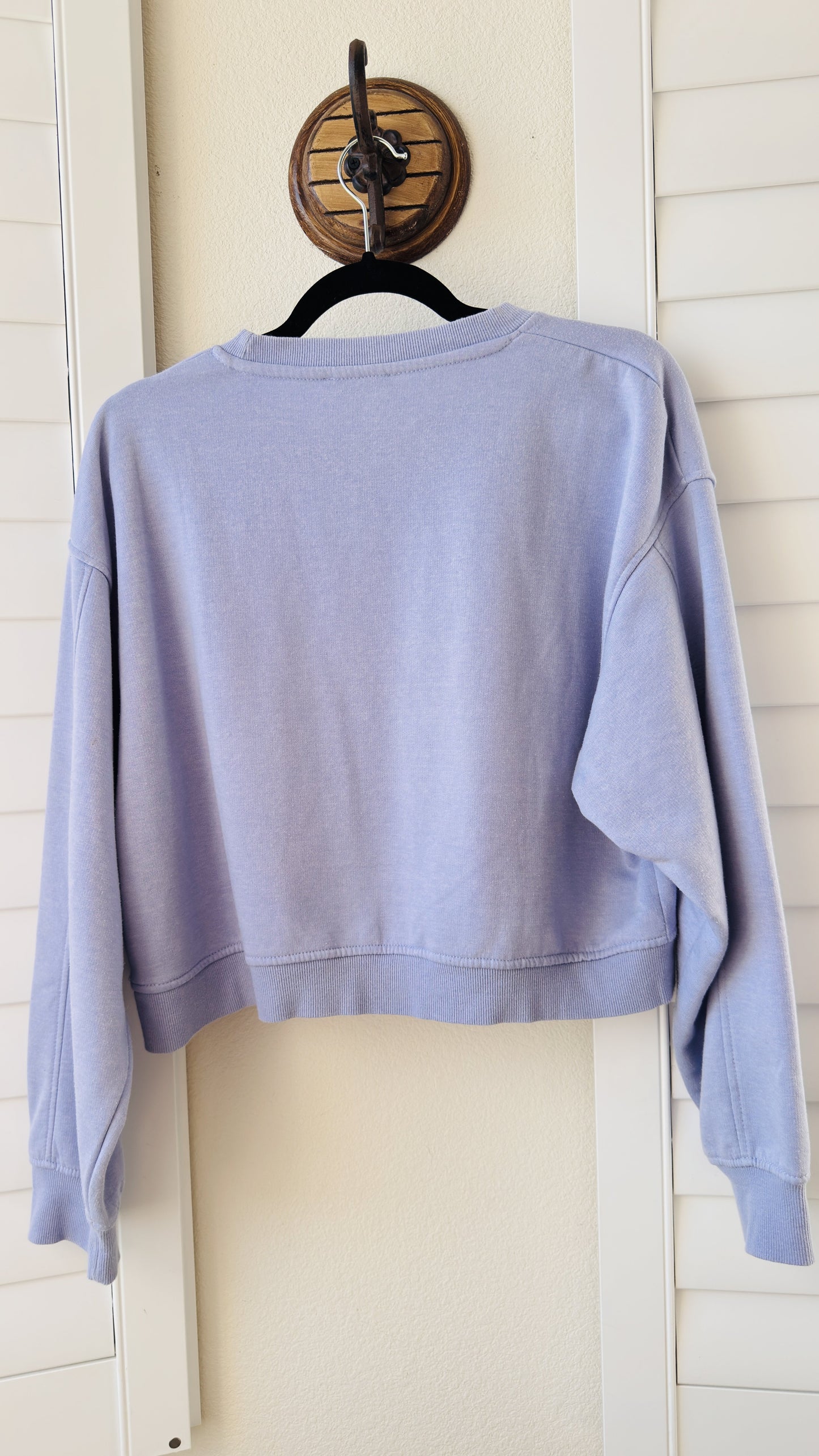 Zara Lavender Cropped Crewneck Sweatshirt - Size L